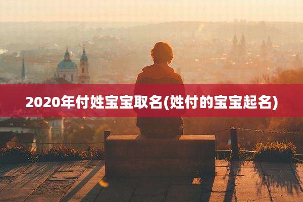 2020年付姓宝宝取名(姓付的宝宝起名)