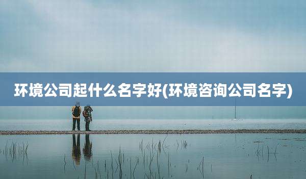 环境公司起什么名字好(环境咨询公司名字)
