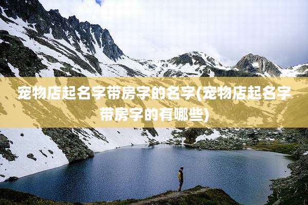 宠物店起名字带房字的名字(宠物店起名字带房字的有哪些)