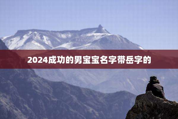 2024成功的男宝宝名字带岳字的