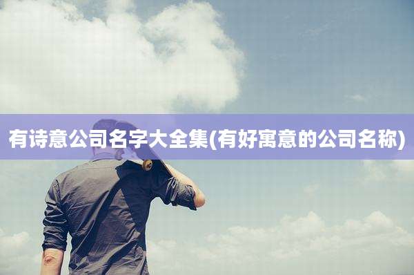 有诗意公司名字大全集(有好寓意的公司名称)