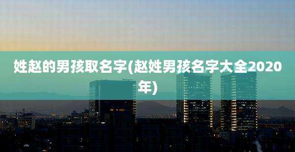 姓赵的男孩取名字(赵姓男孩名字大全2020年)