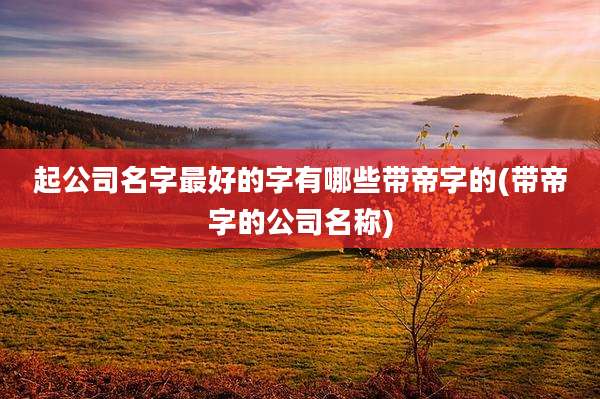 起公司名字最好的字有哪些带帝字的(带帝字的公司名称)