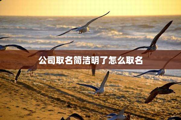 公司取名简洁明了怎么取名