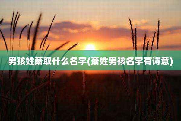 男孩姓萧取什么名字(萧姓男孩名字有诗意)