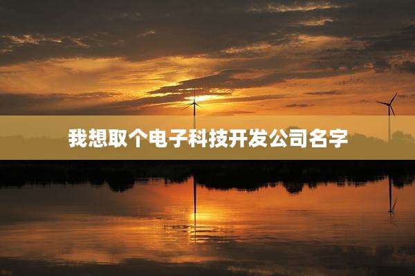 我想取个电子科技开发公司名字