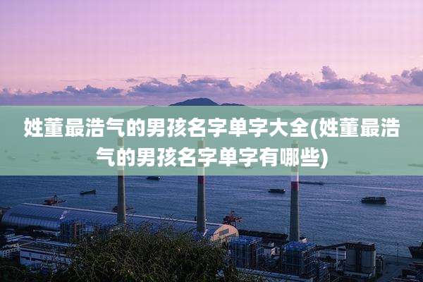 姓董最浩气的男孩名字单字大全(姓董最浩气的男孩名字单字有哪些)