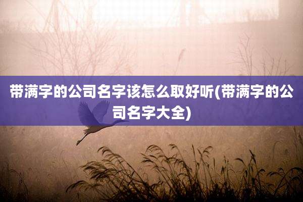 带满字的公司名字该怎么取好听(带满字的公司名字大全)