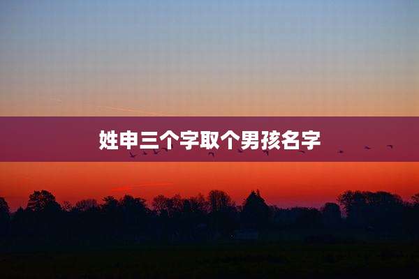姓申三个字取个男孩名字
