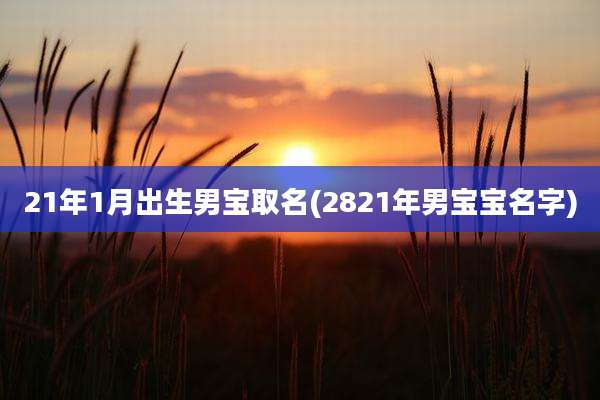 21年1月出生男宝取名(2821年男宝宝名字)