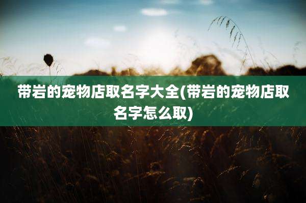 带岩的宠物店取名字大全(带岩的宠物店取名字怎么取)
