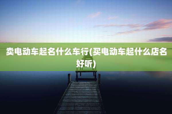 卖电动车起名什么车行(买电动车起什么店名好听)