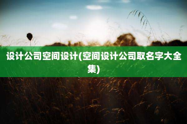 设计公司空间设计(空间设计公司取名字大全集)