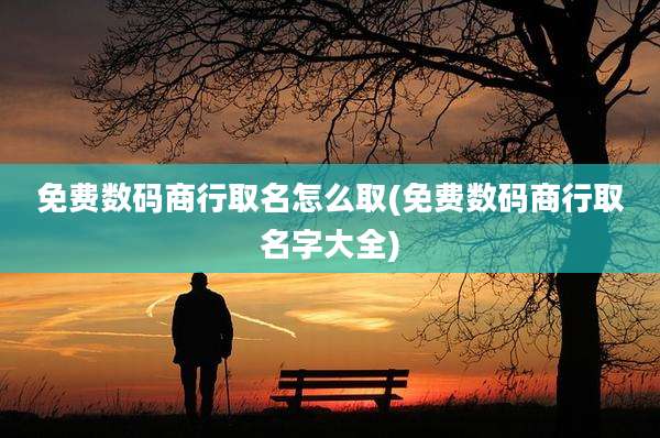 免费数码商行取名怎么取(免费数码商行取名字大全)