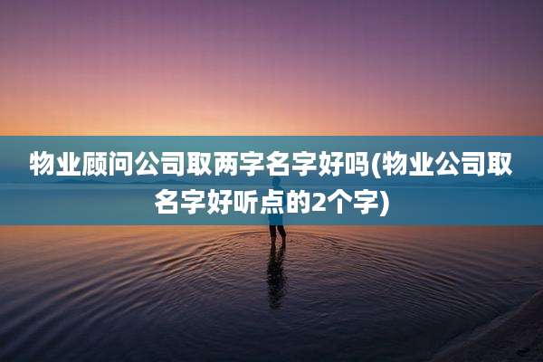 物业顾问公司取两字名字好吗(物业公司取名字好听点的2个字)