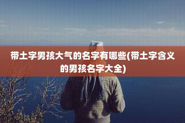 带土字男孩大气的名字有哪些(带土字含义的男孩名字大全)