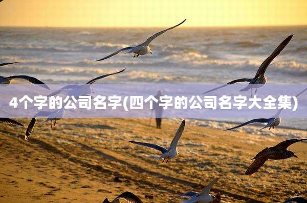 4个字的公司名字(四个字的公司名字大全集)
