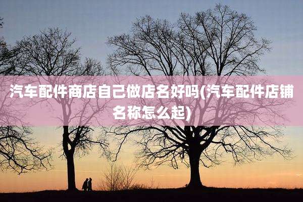 汽车配件商店自己做店名好吗(汽车配件店铺名称怎么起)