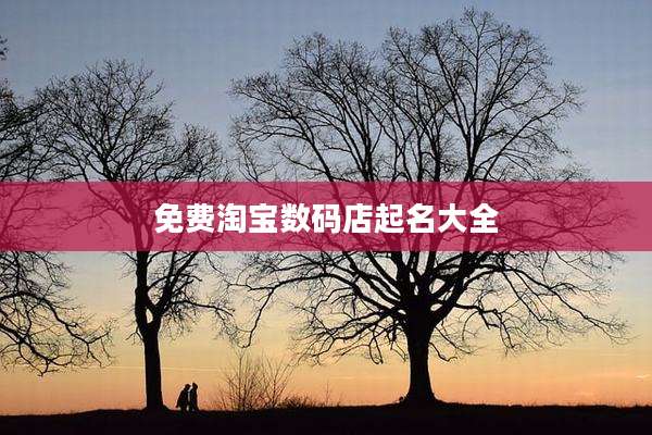 免费淘宝数码店起名大全