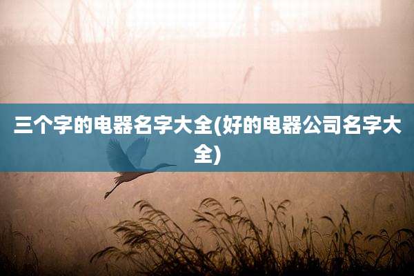 三个字的电器名字大全(好的电器公司名字大全)