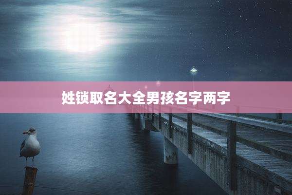 姓锁取名大全男孩名字两字