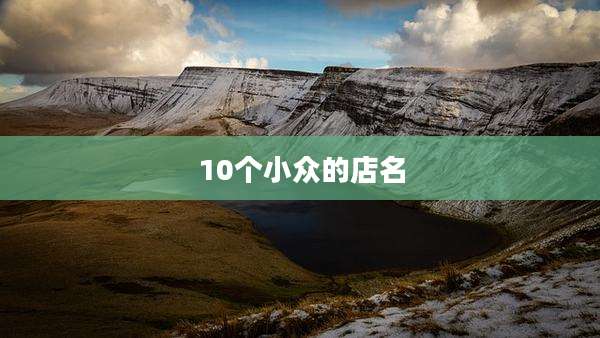 10个小众的店名