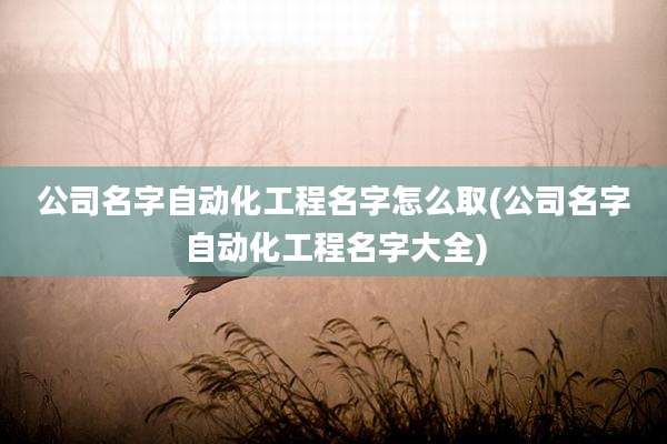 公司名字自动化工程名字怎么取(公司名字自动化工程名字大全)
