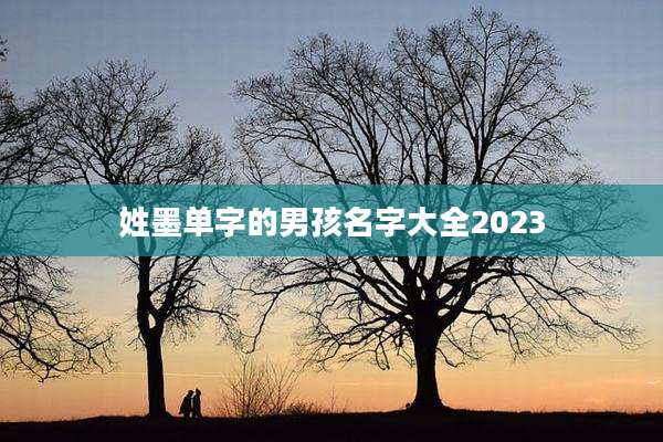 姓墨单字的男孩名字大全2023