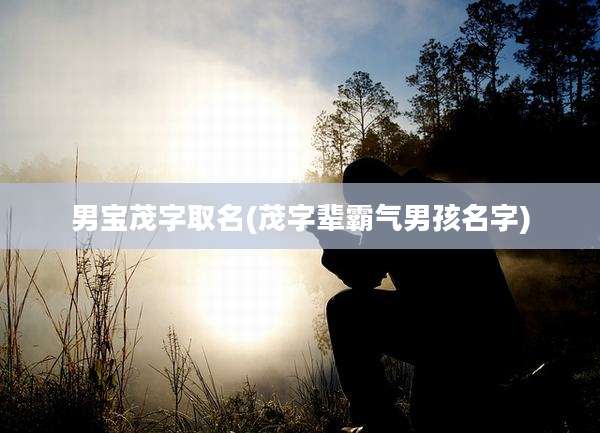 男宝茂字取名(茂字辈霸气男孩名字)