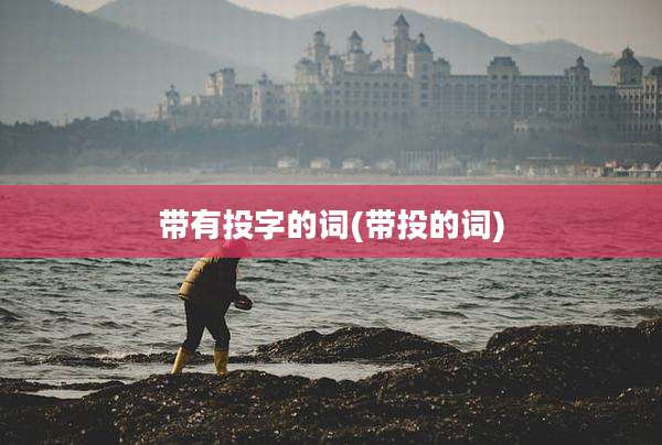 带有投字的词(带投的词)