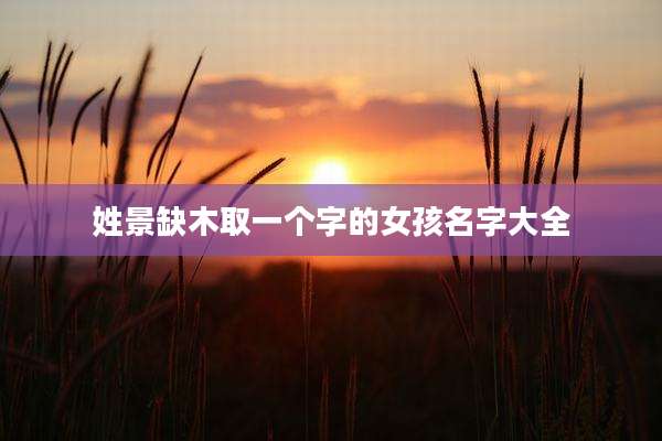 姓景缺木取一个字的女孩名字大全