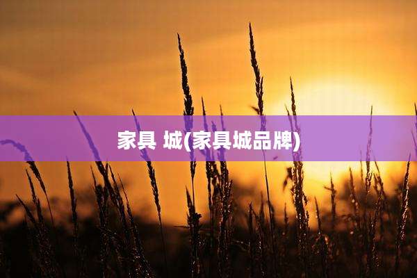 家具 城(家具城品牌)