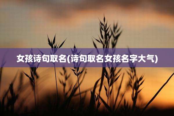 女孩诗句取名(诗句取名女孩名字大气)