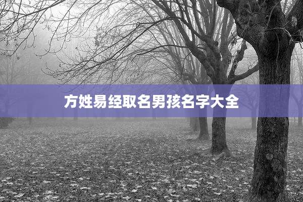 方姓易经取名男孩名字大全