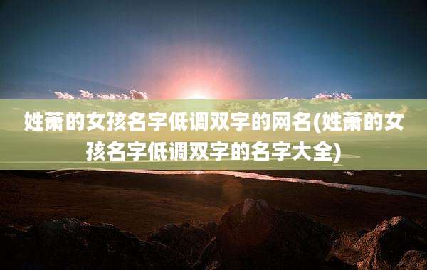 姓萧的女孩名字低调双字的网名(姓萧的女孩名字低调双字的名字大全)