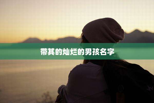 带其的灿烂的男孩名字