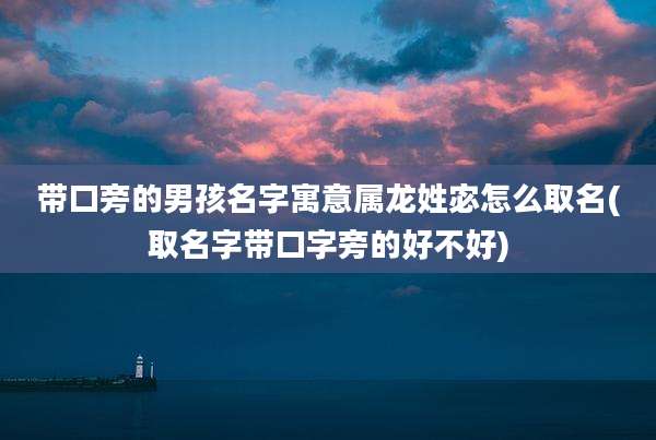 带口旁的男孩名字寓意属龙姓宓怎么取名(取名字带口字旁的好不好)