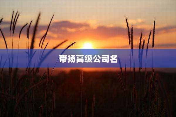 带扬高级公司名