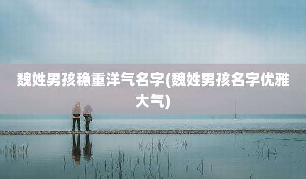 魏姓男孩稳重洋气名字(魏姓男孩名字优雅大气)