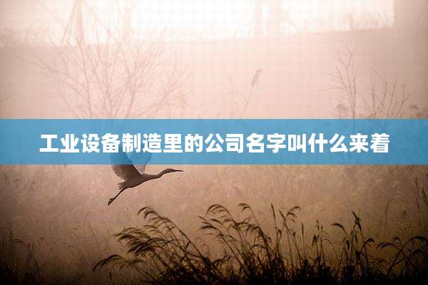 工业设备制造里的公司名字叫什么来着
