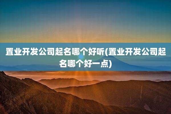 置业开发公司起名哪个好听(置业开发公司起名哪个好一点)