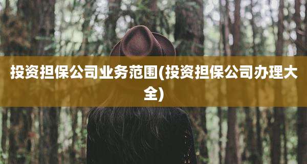 投资担保公司业务范围(投资担保公司办理大全)