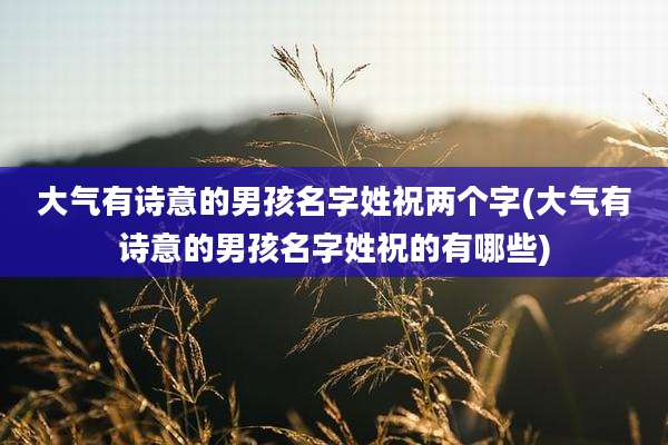 大气有诗意的男孩名字姓祝两个字(大气有诗意的男孩名字姓祝的有哪些)