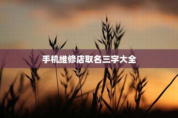 手机维修店取名三字大全