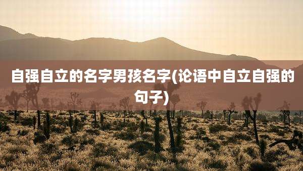 自强自立的名字男孩名字(论语中自立自强的句子)