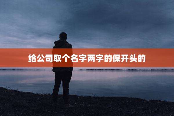 给公司取个名字两字的保开头的