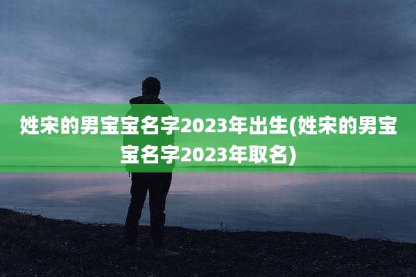 姓宋的男宝宝名字2023年出生(姓宋的男宝宝名字2023年取名)