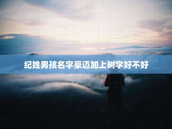 纪姓男孩名字豪迈加上树字好不好