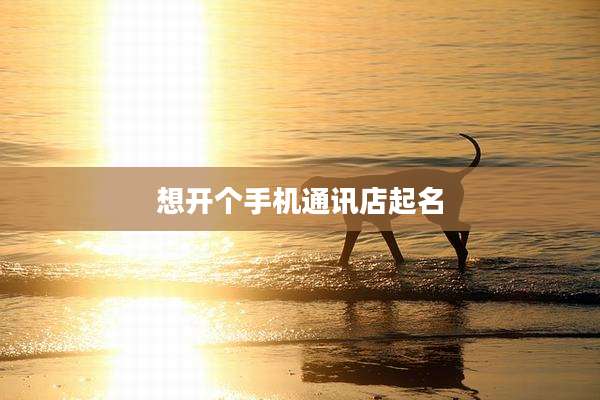 想开个手机通讯店起名