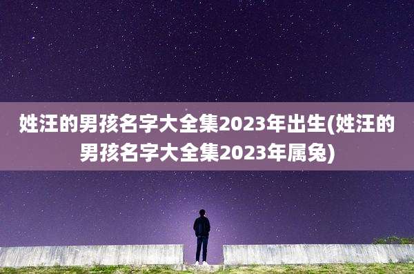 姓汪的男孩名字大全集2023年出生(姓汪的男孩名字大全集2023年属兔)